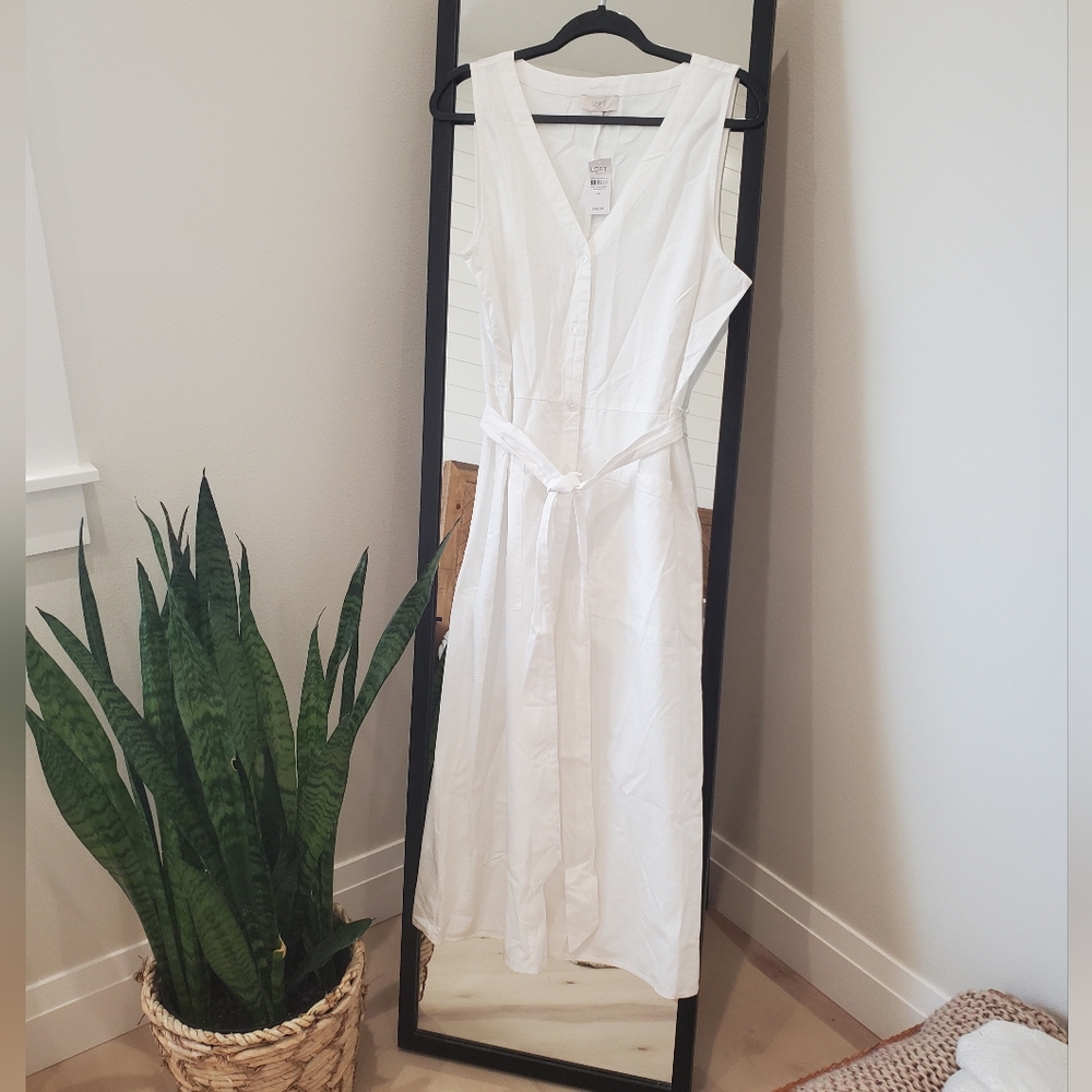 LOFT dress